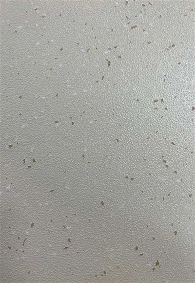 Public Transport PVC Flooring Rolls