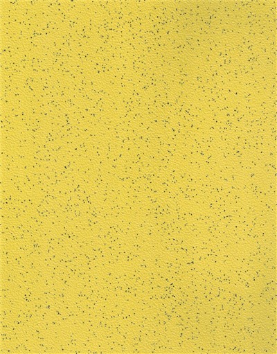 Yellow No Standing Area Bus Vinyl Flooring